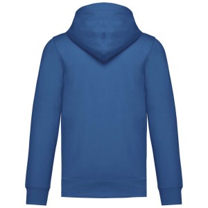 UNISEX HOODIE SWEATSHIRT, Light Royal Blue (pulver)